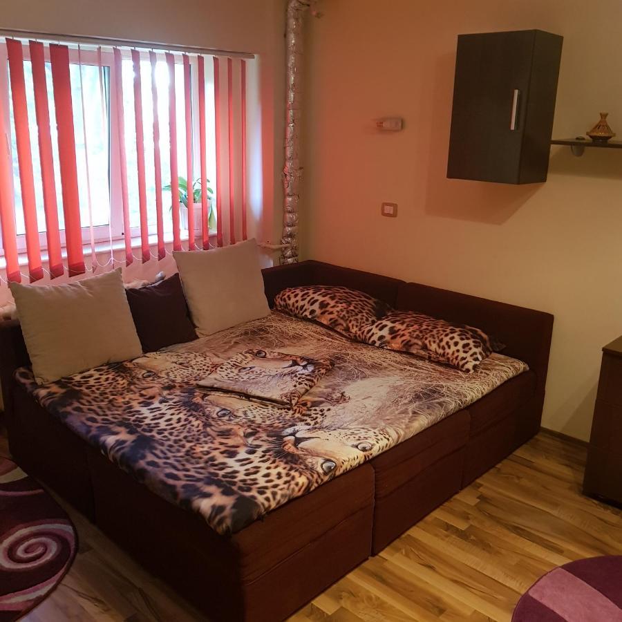 Apartament Garsoniera Delia Konstanca Zewnętrze zdjęcie