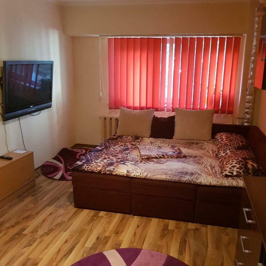 Apartament Garsoniera Delia Konstanca Zewnętrze zdjęcie